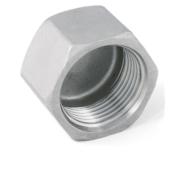 ART. 0081